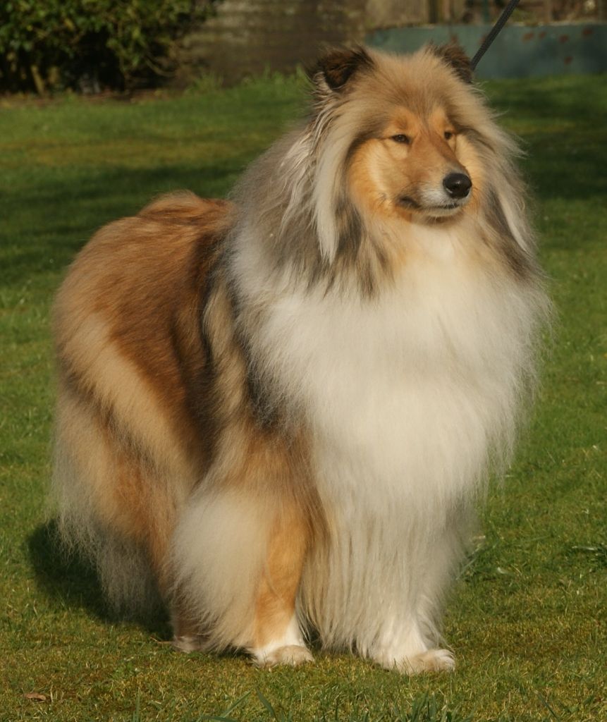 Taya légende des vallées d'Atrébatie